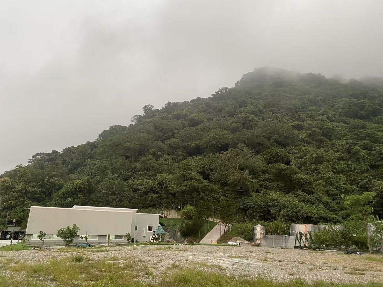 雲霧中的田寮山景