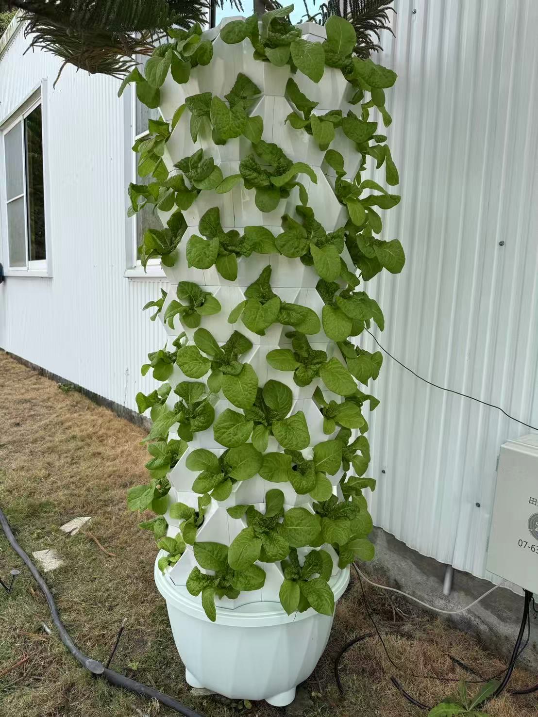 全自動蔬菜機
