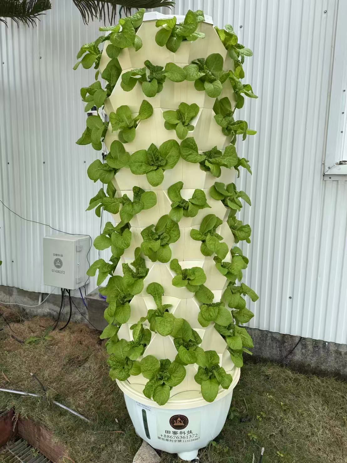 田寮現場的蔬菜機